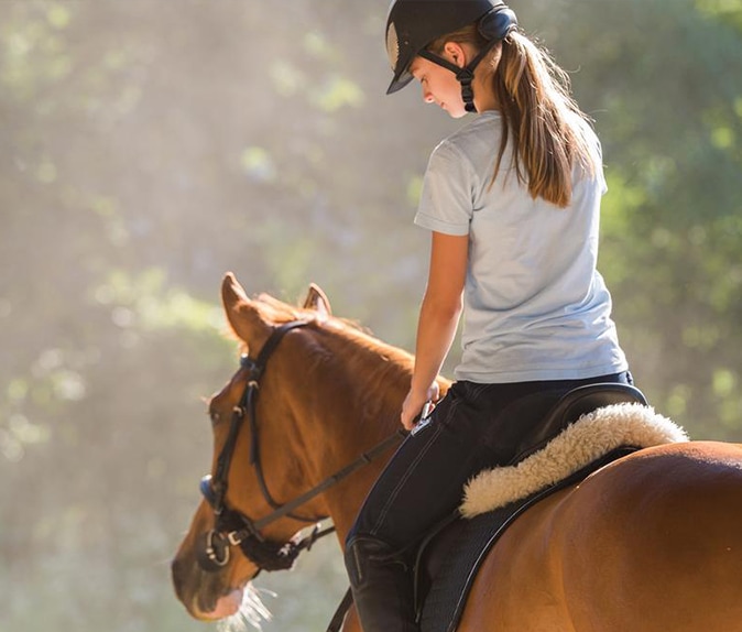Balade a cheval initiation equitation - centre equestre équilibre
