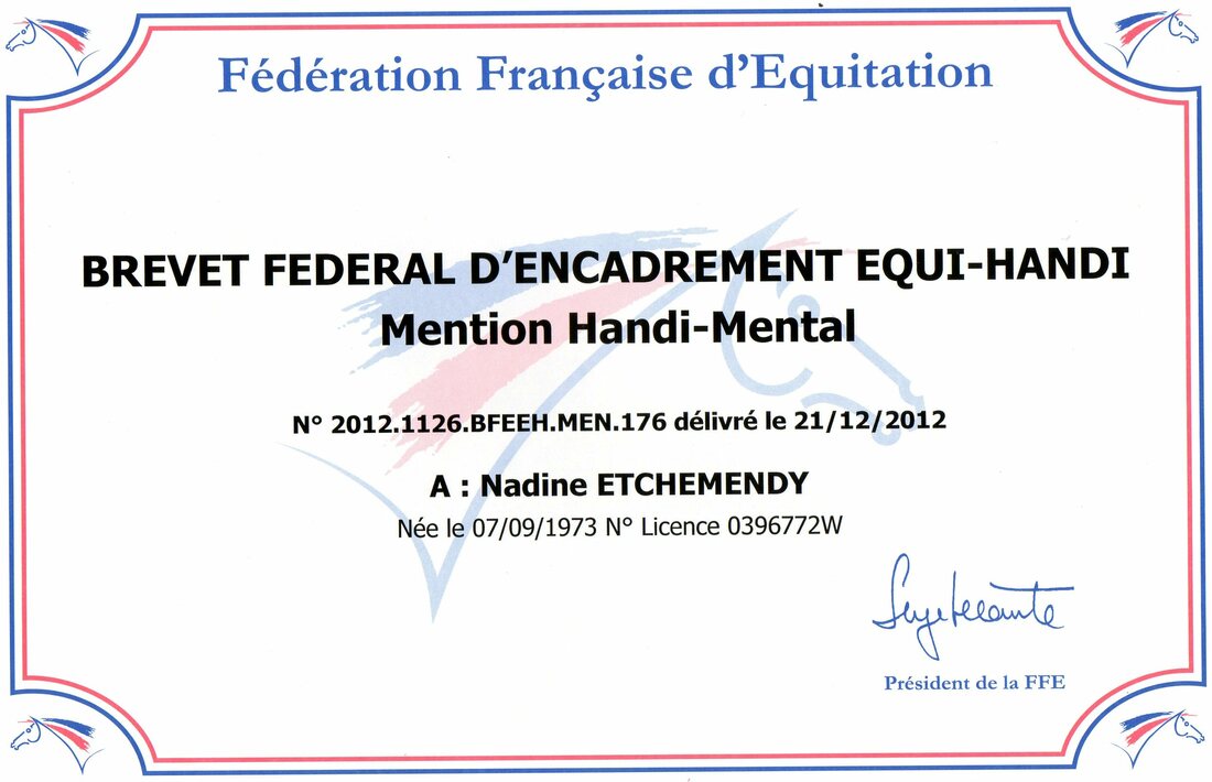 Brevet fédéral d'encadrement equi-handi - handi-mental Nadine Etchemendy | Centre équestre équilibre Sérent