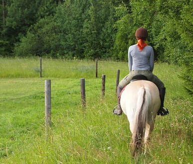 Balade a cheval 2 heures - centre equestre équilibre