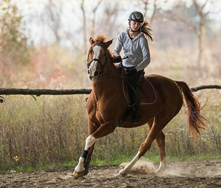 Apprendre stage semaine equitation - centre equestre équilibre
