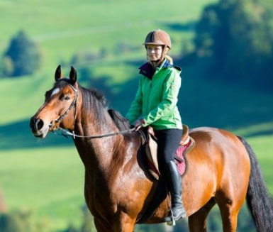 Accompagnement equitation cheval - centre equestre équilibre
