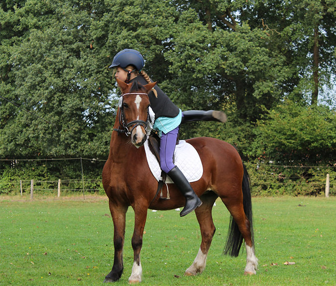 Apprentissage poney equitation - centre equestre équilibre