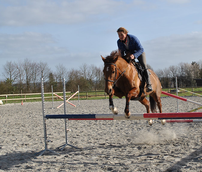 Saut equitation Bretagne - centre equestre équilibre